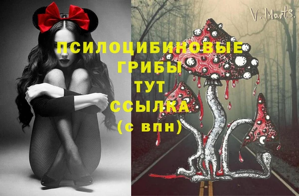марихуана Новодвинск