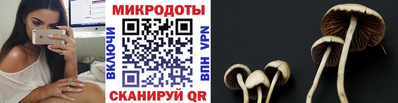 Галлюциногенные грибы Cubensis  МЕГА как войти  Малаховка 